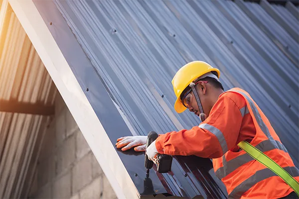 Roof Maintenance
